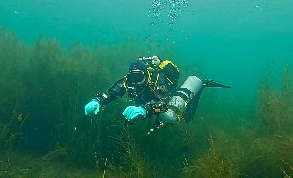 Tauchbasis Cospudener See Unter Wasser